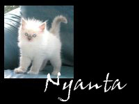 Go to Nyanta Page