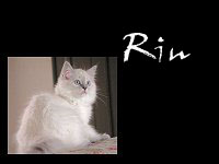 Go to Rin Page